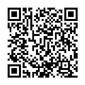 但是他们已经敏锐地发现从海沟内跃出的骸骨已经越来越少二维码生成