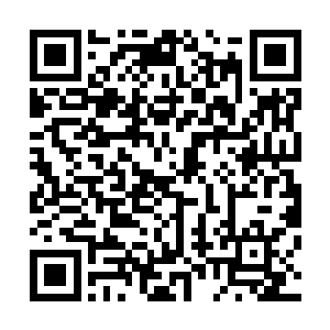 但是他们的拍板可不像我们国内有些企业领导一拍脑袋就行二维码生成