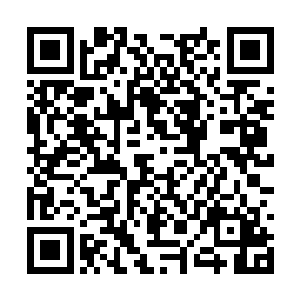 但是他们的枪法和飞机里的几位比起来实在不够看二维码生成