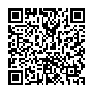 但是他们的甲板上有诸多人肩上扛着一个个类似火箭炮的玩意二维码生成