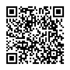 但是他们的触觉和嗅觉已经灵敏到了一种十分恐怖的程度二维码生成