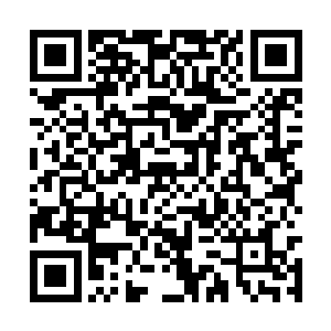 但是他们被单独囚禁在那么深的湖底的特殊壁画中二维码生成