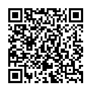 但是他们还不敢说出真相来――能诛杀了天仙的人二维码生成