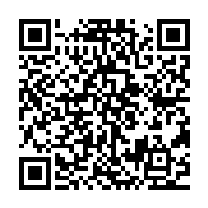 但是他们这些已经是老来静的人几乎可以预见族人日后的好日子二维码生成