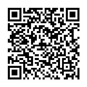 但是他依旧没有办法避免地以一个漂亮的自由落地曲线二维码生成