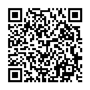 但是他分析的郎坚白可能做出的事确实是姬可馨最担心的问题二维码生成