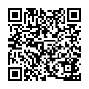 但是他却不知道缠龙大师是否看到了阵法中的一幕二维码生成