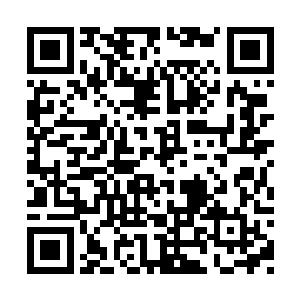 但是他却还是要看着小叔一步步地走向着死亡吗二维码生成