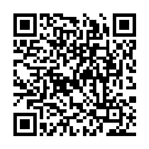 但是他发现了风翅兽的毛发……而风翅兽这个东西二维码生成