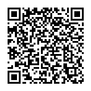 但是他可不是欧洲的那群只知道长翅膀的大蜥蜴的才算是龙的欧洲人二维码生成