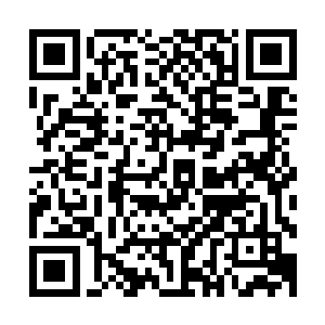 但是他可是从来都没有暴露出来他拥有着如此霸道的血脉之力二维码生成