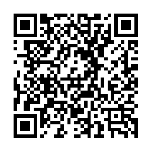 但是他和其他的人消失大家都知道是因为乌溪族的事情二维码生成