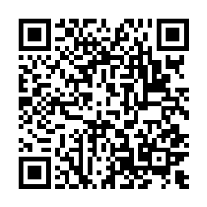 但是他在演练和传授夏天神光仙龙转的时候却是非常仔细二维码生成