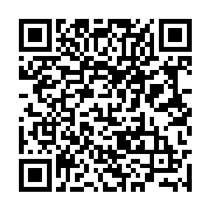 但是他对各种武器的认识也在无形之中得到了锻炼二维码生成