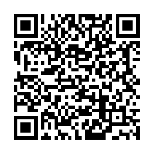 但是他对宇宙之心的感悟程度不比离天界主和我差二维码生成