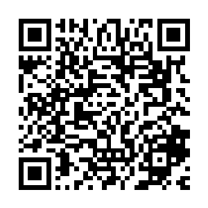 但是他心中的印象都还只是保持在他还只是天元五杰的那个身份二维码生成