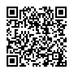 但是他更担心的是这件事的真相暴露后部落会人心涣散二维码生成