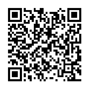 但是他的表演节奏还是轻而易举地就被雨果带着走二维码生成