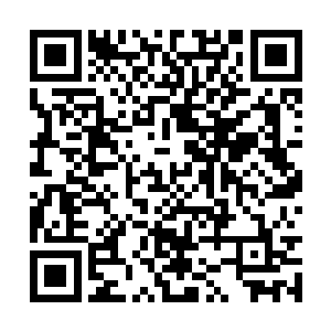 但是他的那尊大恶魔傀儡可是有着人仙巅峰的实力二维码生成