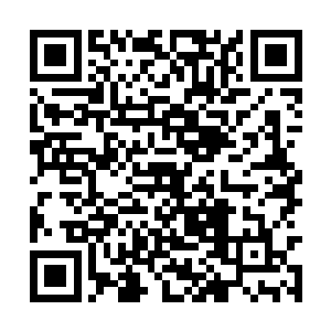 但是他相信其他人应该也很难将这些伪仙器弄到手二维码生成