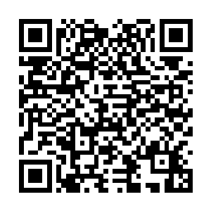 但是他知道这个世界最终会以另一种形式存在下去二维码生成