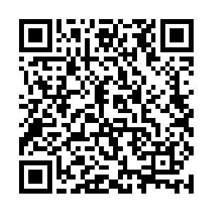 但是他觉得太白道君竟然以半个主人的身份对待自己二维码生成