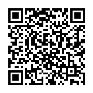 但是他还是喜欢对小七显摆自己摆满一炕的各式玩具二维码生成