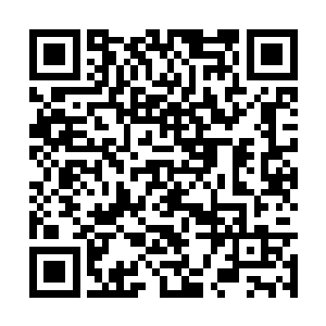 但是他这句话就直接将所有人的怒火全都挑出来了二维码生成