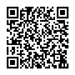 但是他那双威严虎目却一直威风凛凛的盯着苏落二维码生成