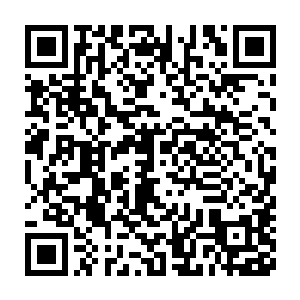 但是令他们吃惊的是这次他们的招揽竟然被他们眼中卑微的人族拒绝了二维码生成