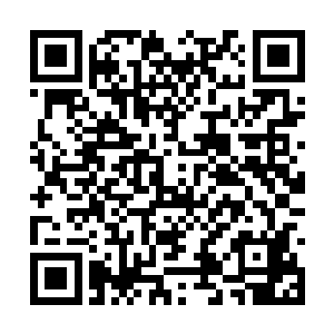 但是令他们奇怪的是许紫烟依旧是淡淡地摇摇头道二维码生成