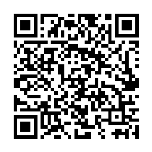 但是令他们感到奇怪的是并没有看到想象中的生灵二维码生成