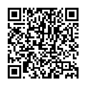 但是令许紫烟等观众意外的是芥子空间内的两个人都没有动二维码生成