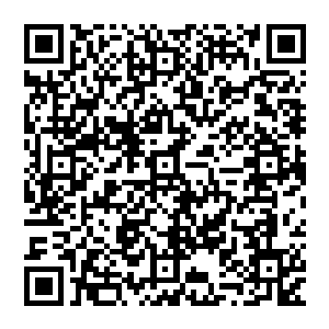 但是以前因为锤炼铁胎果而变硬的手部和足部和身体肩背与腹部等地方似乎重新变得柔软起来二维码生成