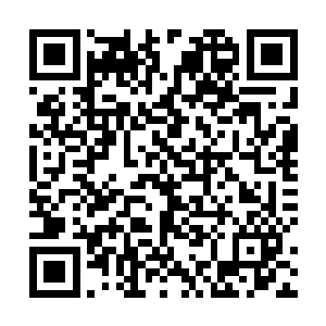 但是仪式和宴会都因为摄政王忽如其来的死而被迫取消二维码生成