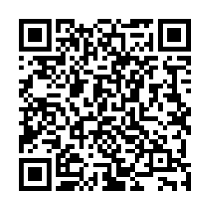 但是任何一个有良心的官员都不会对这种事情置之不理的二维码生成