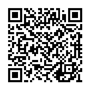 但是任何可以增加自己实力的机会他都不会放过二维码生成