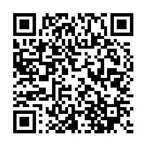 但是任何牵涉到神宝的事情他们都必须小心翼翼地对待二维码生成