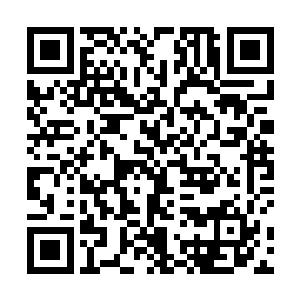 但是伊布身上自小被大精灵王添加了不知道多少个祝福二维码生成