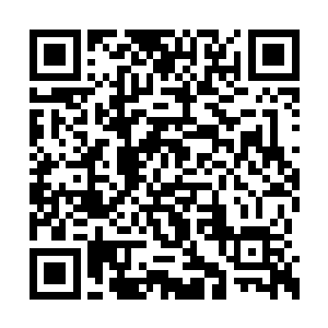 但是似乎自己也缺乏再度恋爱和再度婚姻的激情二维码生成