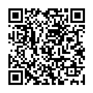 但是作为一个杀手头子了解各色人物是必备的基础二维码生成