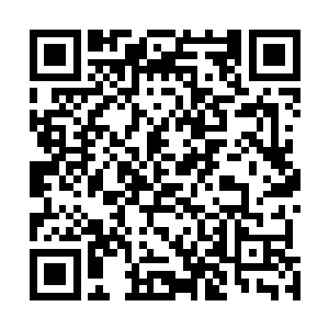 但是你们也该明白秘社大公从不相信这些表面上的代理人二维码生成