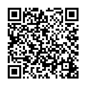 但是你们知道为何一些海洋魔兽具有破解符咒的能力吗二维码生成