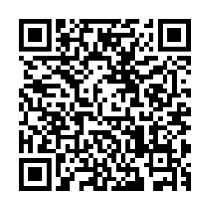 但是你却要有从人家准备好的东西里看到成绩发现问题的能力二维码生成