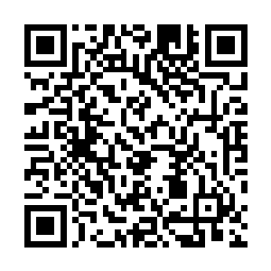 但是你将一份百折不挠的精神和充满梦想的希望给了别人二维码生成
