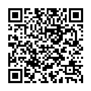 但是你怎么知道桌椅板凳和程序等没有自己的灵魂二维码生成