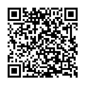 但是你这样的人身上有着太多我们不知道的秘密二维码生成