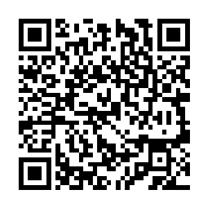 但是依靠自身力量提升的吸收速度才是真正的速度二维码生成