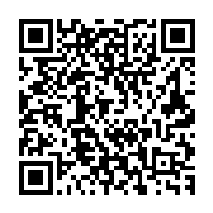 但是假以时日这两个女入一样有着不逊于隋立媛她们白勺底气二维码生成