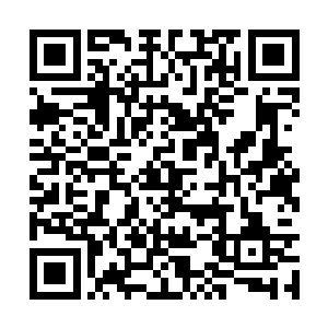 但是偏偏做出来的食物美味的让人恨不得吞掉舌头二维码生成